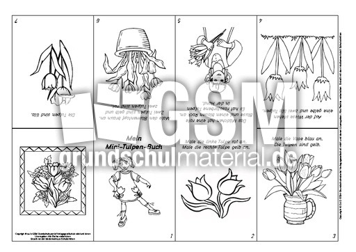 Lese-Mal-Faltbuch-Tulpe-1.pdf